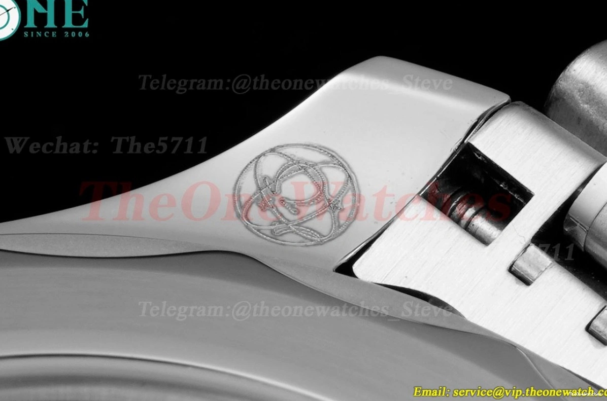 Seamaster Wht A8800 SS SS blue 300m 42mm JVSF 0112